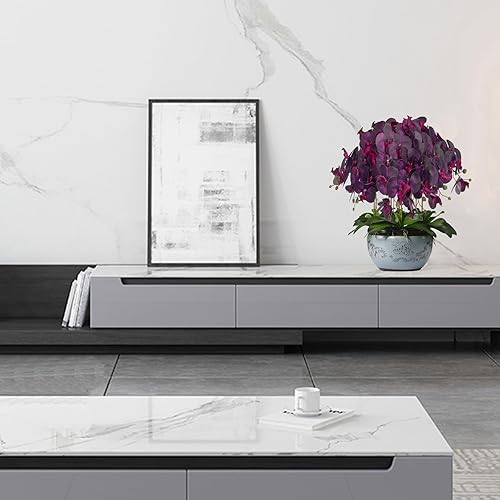 Miniatura 111 de FagusHome Phalaenopsis - Flores artificiales de 32 pulgadas, 6 piezas de orquídeas artificiales con tallo para decoración del hogar (rosa)