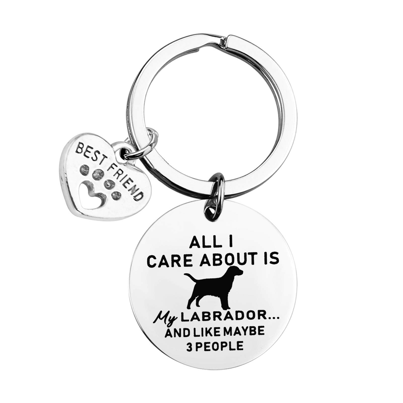 MAOFAED Dog Gift Labrador Gift Dog Lover Gift Labrador Owner Gift All I Care About Is My Labrador And Like Maybe 3 People