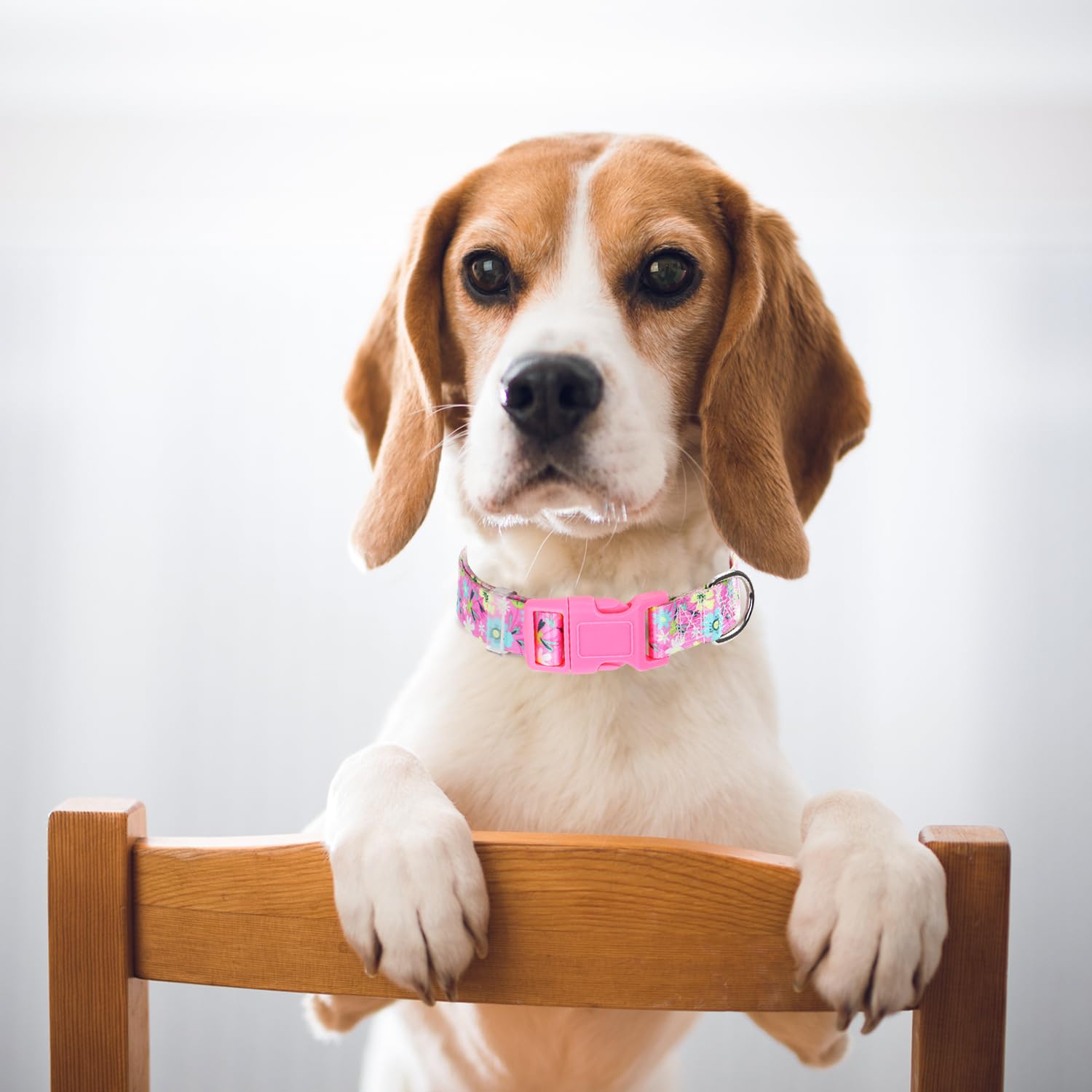 Collares para perros pequeños, collar de perro rosa con patrones de flores bohemias, ajustable, cómodo, suave, duradero, para perros XS, pequeños, medianos, grandes, extragrandes (S)