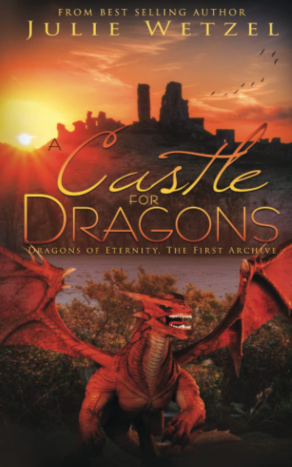 A Castle for Dragons (Dragons of Eternity)