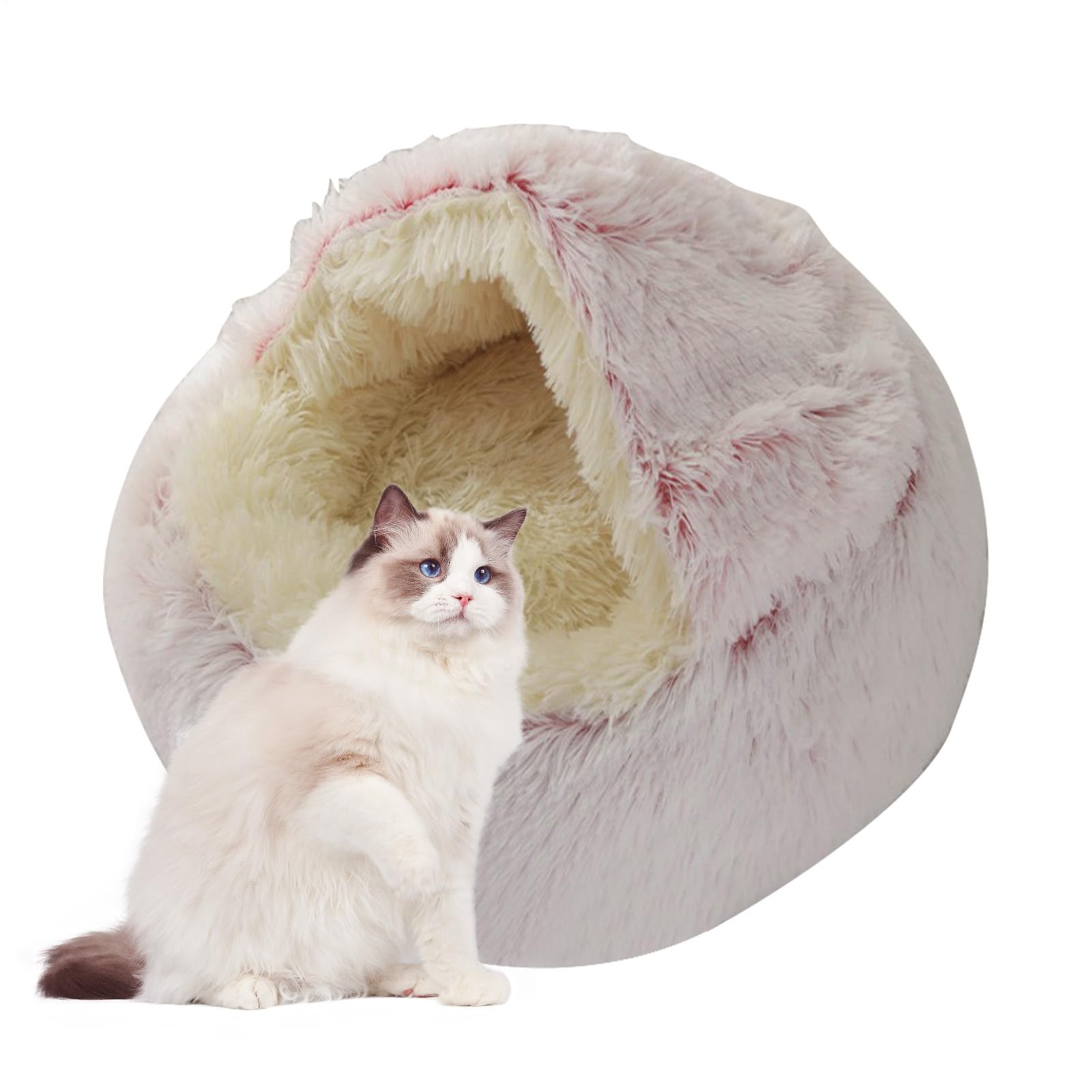 Cuccia per gatti | per gatti chiuso e calmante per animali di | piccola taglia – Cuccia per gatti lavabile in lavatrice soffice cuccia per gatti rimovibile per cani di grossa taglia, gattin