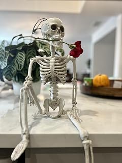 GiftExpress 24" Realistic Posable Full Human Body Skeleton with Movable Limbs Jaws, Reposable Head, Hands and Legs Halloween Skull and Skeleton Decoration and Haunted Spooky House Props