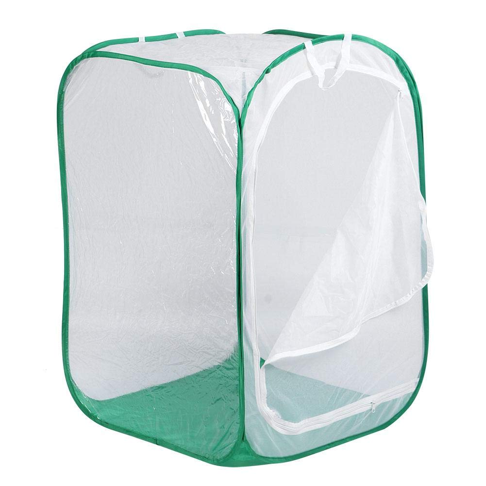 Plant Insecte Net Papillon Pet Cage Plantation lumire incubateur Pliable Cage Insectes ventil ventil Transmission Transmission de lumire Cage Zipper Plant House 60 * 60 * 90 cm