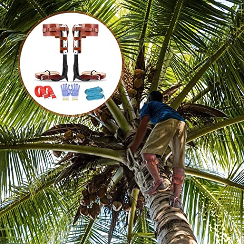 Set Ramponi Per Arrampicata Su Alberi - Attrezzatura Completa Con Cinghie, Viti E Guanti, Per Lavori Forestali E Raccolta