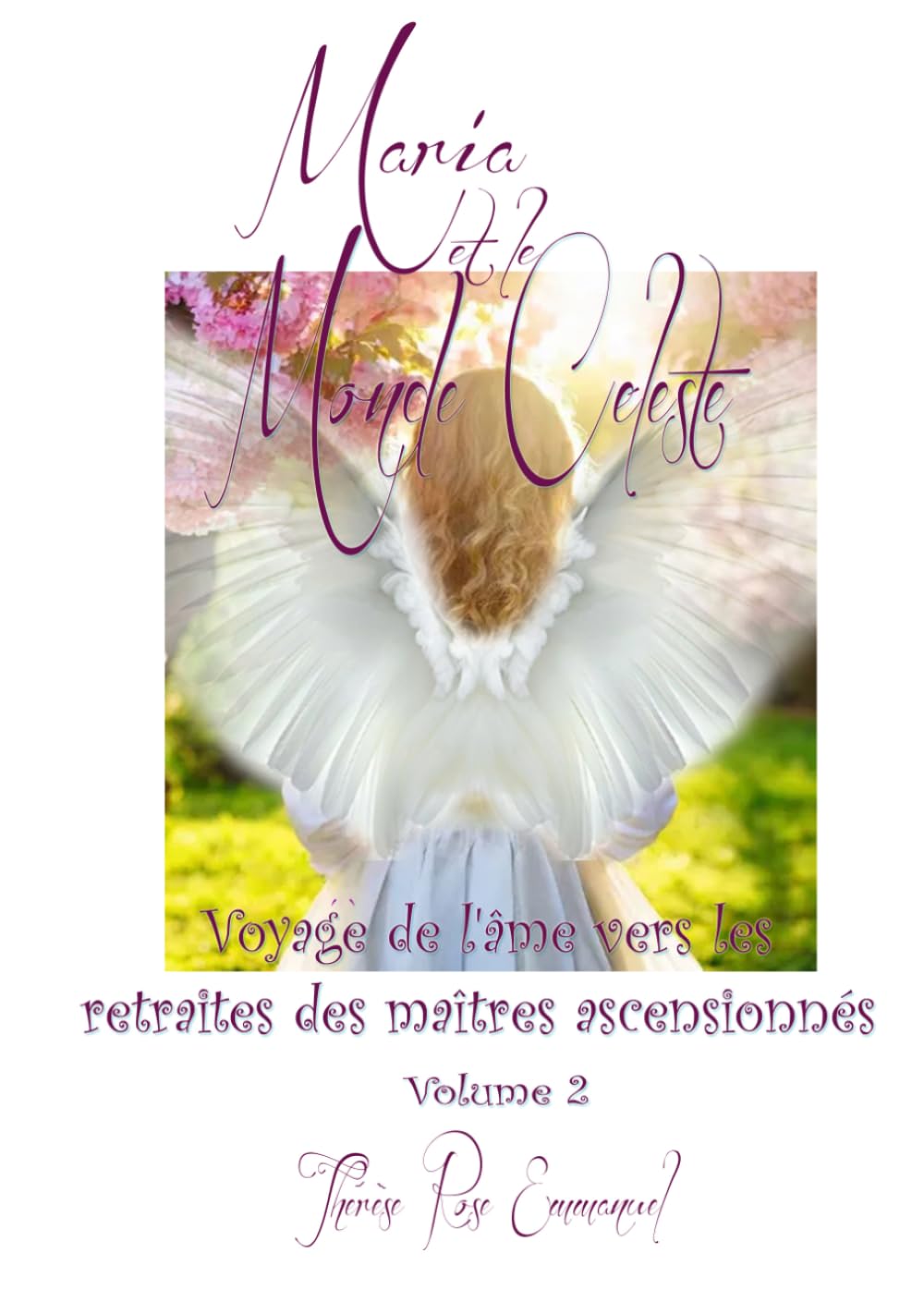 Maria et le Monde Céleste Volume 2: Voyage de l'Ame vers les Retraites des Maîtres Ascensionnés