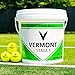 Vermont Pelotas de Tenis | Pelotas Homologadas por la ITF para Minitenis/Entrenamientos (para Todas Superficies) (Nivel 1 (Verde), Pack de 3)