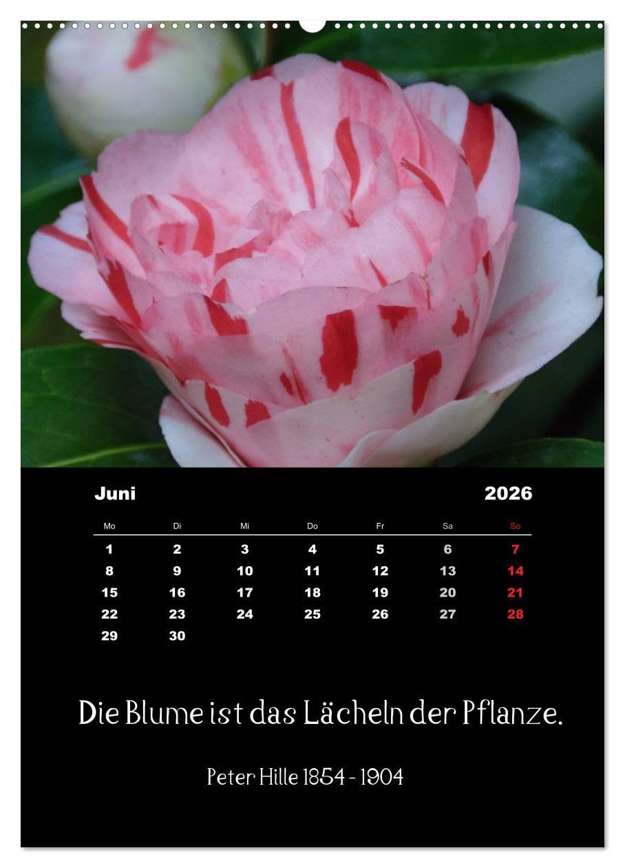 Sprüche und Zitate berühmter Personen über Blumen und Natur (hochwertiger Premium Wandkalender 2026 DIN A2 hoch), Kunstdruck in Hochglanz