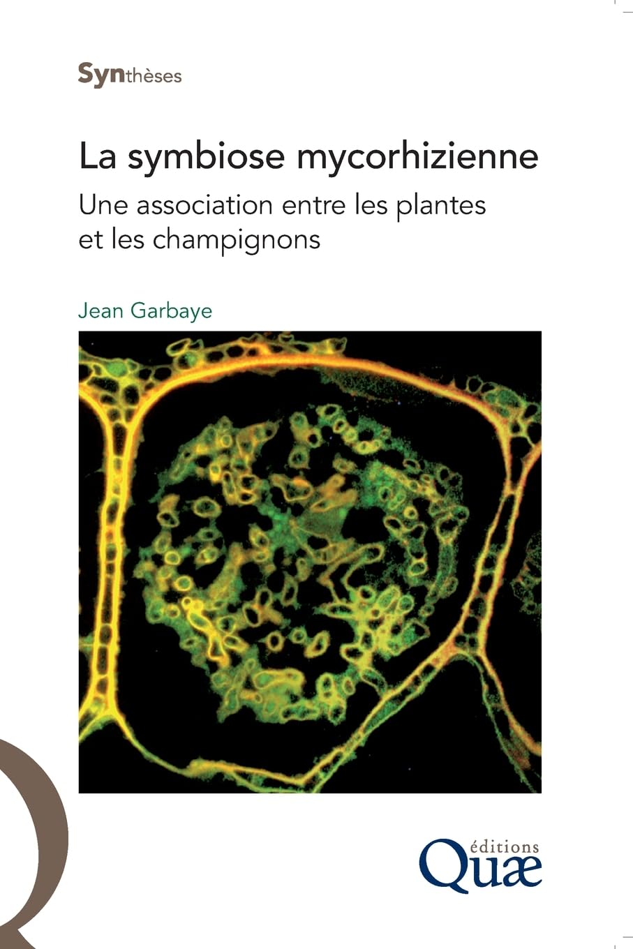 La symbiose mycorhizienne: Une association entre les plantes et les champignons.
