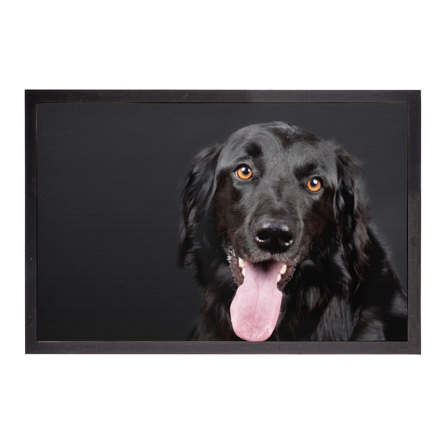Paillasson Labrador Noir anti-saleté 60x40cm pour propriétaires de grand chien
