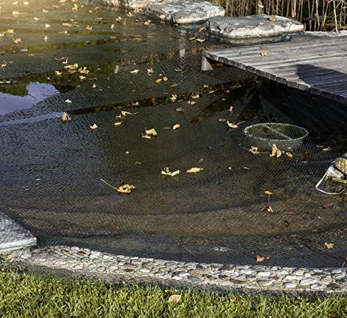 Windhager Laubschutznetz, Abdecknetz, Gartenschutz, zum Schutz von Teichen und Wasserbehältern, inkl. 10 Netzhaltern, grün, 3 x 2 m