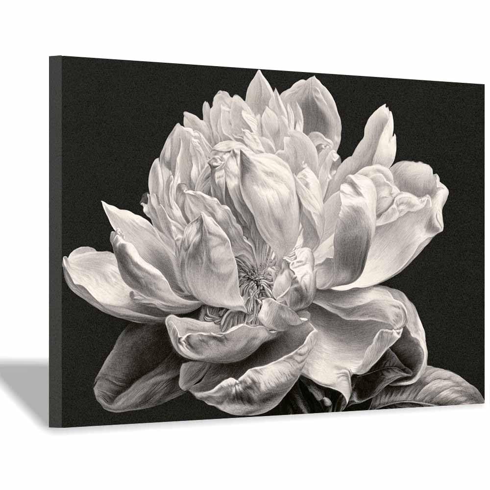 HOQIU Black And White Prints Sketch Whites Peony Flower prints for walls, canvas wall art, for Living Room Bedroom Bathroom Home Office Wall Decoration(Multicolor)-60x80cm Framed