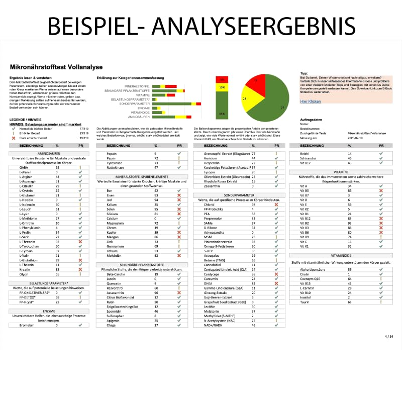 Mikronährstoffanalyse & Mikroplastiktest | Haaranalyse für Vitalstoffe und Mikroplastikbelastung | Einfache Selbstanwendung | Detaillierter Ergebnisbericht