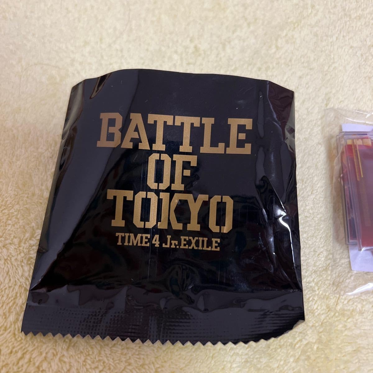 居酒屋えぐざいる bot fantastics クッション 堀夏喜