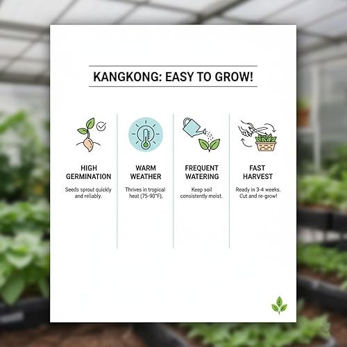 Miniatura 6 de Kong Xin - Semillas CAI de 0.5 onzas, más de 350 semillas de vegetales para plantar