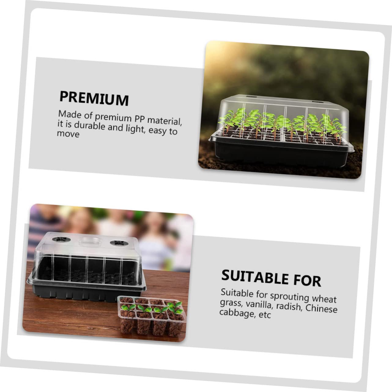 GALPADA Boîte de Croissance pour Plantes PP, 1 Lot, Surface Lisse