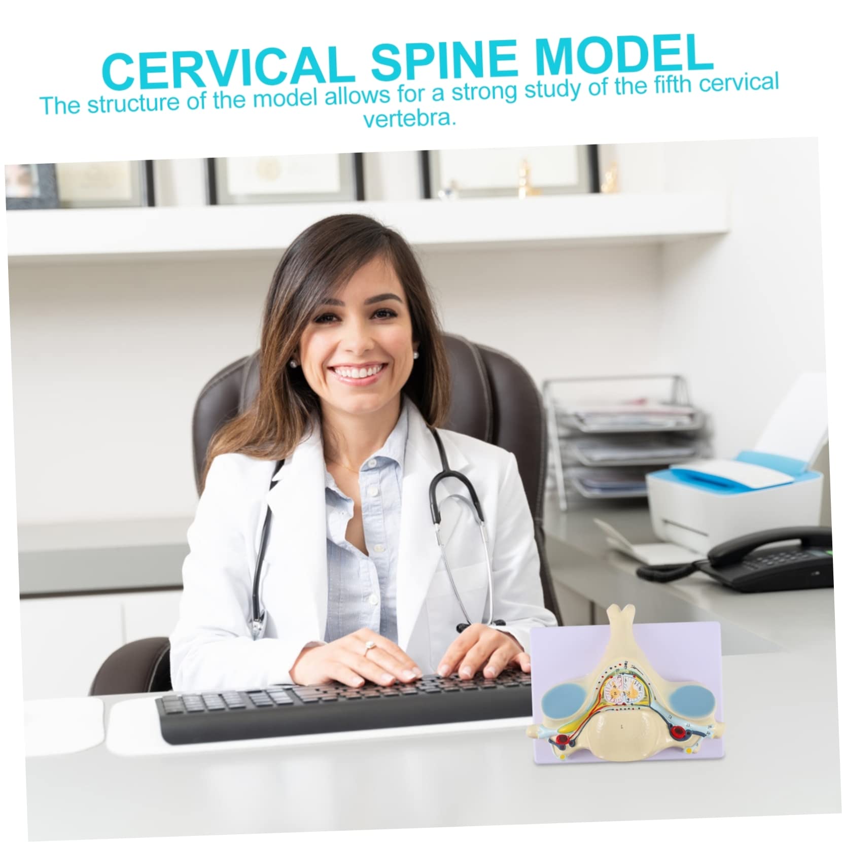 Ciieeo Detailed Cervical Spine Skeleton Fifth Cervical Vertebra Spinal Cord Model Anatomy Study Tool Magnified Illustration