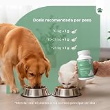 Ver la foto 6