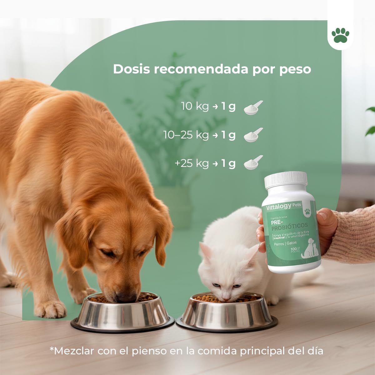 Pre Y Probióticos Perros Gatos Vittalogy | Enterococcus Faecium FOS Y Psyllium | Equilibrio Digestivo Y Restablecimiento De Flora | Fórmula En Polvo De Uso Diario