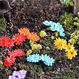 Mini und handgemalte rosafarbene Wegblumenhausgartenmikrolandschaftsdekoration