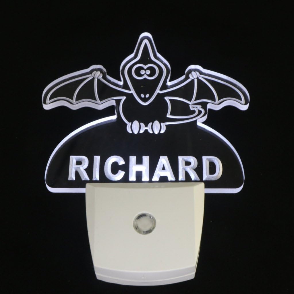 ADVPRO ws1017-tm Pterodactyl Dinosaur Personalized Night Light Baby Kids Name Day Sensor LED Sign