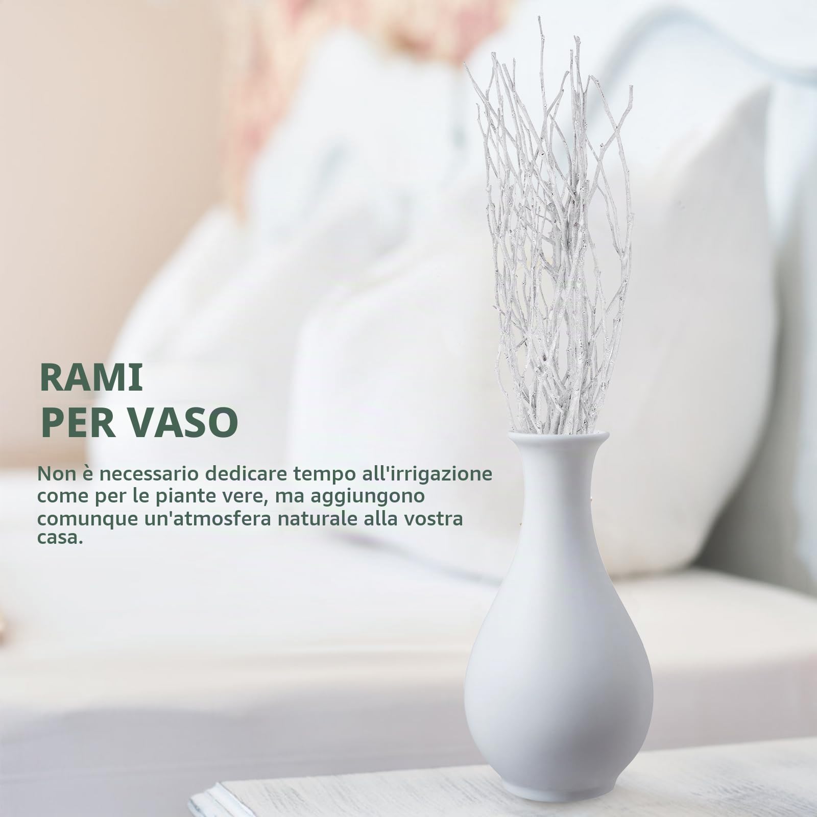 DECHOUS 10 Pezzi Rami Secchi Decorativi per Vaso Ramo Decorativo Legno da 50 cm Rami di Betulla Bianca