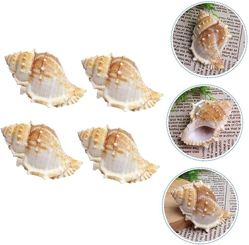 Miniatura 9 de Garneck 32 piezas de decoración de boda mariposas decoración de peces acuario decoración de caracolas escultura jarrón relleno caracolas adornos DIY