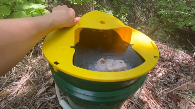 Watch Catches multiple mice at a time! Our go-to trap! on Amazon Live