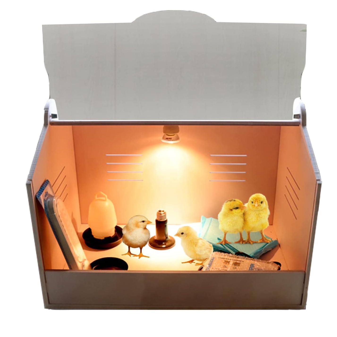 Caja de cría de pollos con juego de bombillas y termómetro, almohadilla térmica para pollitos, patitos, loros y lagartos, ideal para criar aves de corral y mascotas saludables