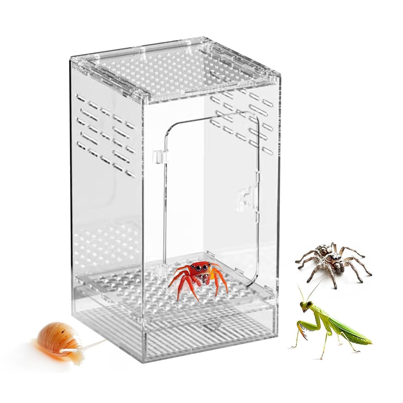 Terrarium dla Pająków Akrylowe Przewiewne Przezroczyste | Habitat dla Modliszek Terrarium dla Jaszczurek dla Żab Węży Krabów Płazów Małych Zwierząt Dom Wewnętrzny