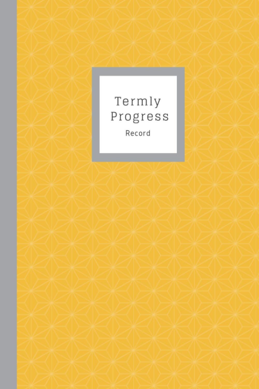 Termly Progress Record: SENCO, SENDCO, Primary, Secondary, EHCP, SEN Observations, 6x9", 120 Page