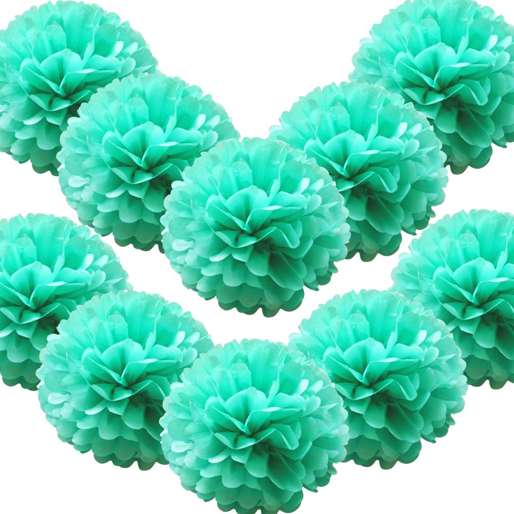Time To Sparkle Mint Green 10 Pack Tissue Paper Pompoms Pom Poms Flower Handmade Wedding Party Decorations Balls | 10"(25Cm) |