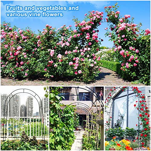 Forever Speed Rosenbogen aus Metall Rankgitter Rosenhilfe aus Pulverbeschichtetem Stahl, Garten Decoration und Verzierung Kletterer wetterfest 240 x 140 x 38 cm/Schwarz