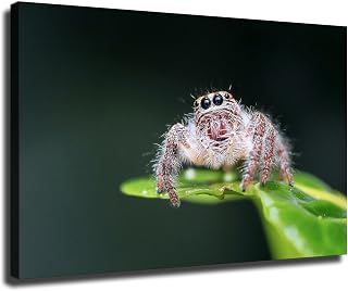 Jumping Spiders Disguise Themselves As Ants To Fool Predators Poster Canvas Print Painting Picture Wall Art Gift Home Corridor Bedroom Living Room Aesthetic Decoration (20x30inch Unframed)