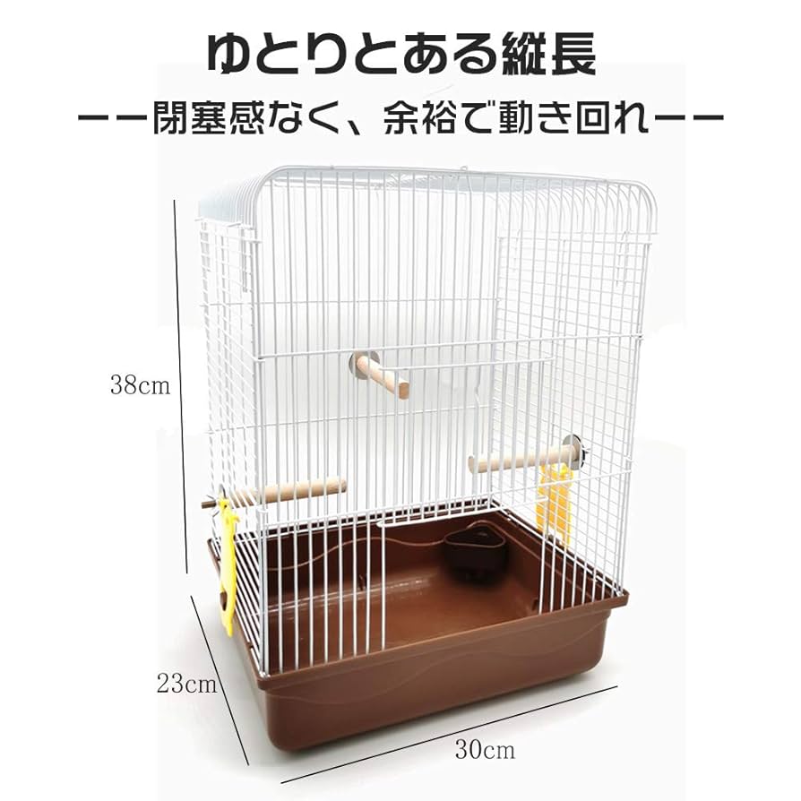木の鳥籠です Amazon | FX-SHYQYYMZ クリアアクリル鳥かご 複数飼い大型インコ