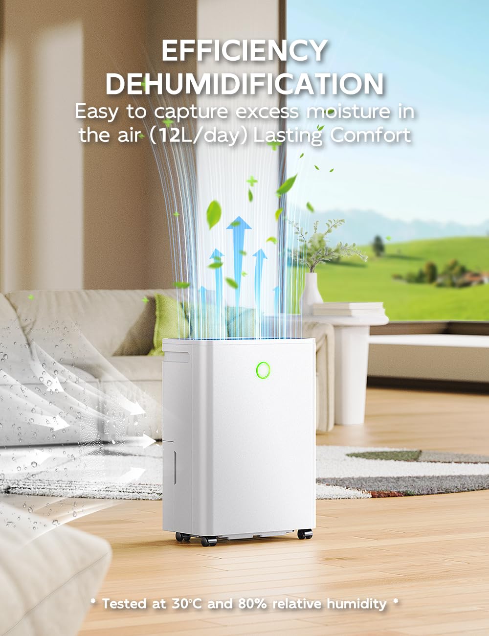 Deumidificatore Casa Muffa 12L/24H, Deumidificatore Portatile e Silenzioso per Camera da Letto, Bagno, Armadio, Controllo Umidità Automatico, Funzione Asciugabiancheria, Timer 24H, Scarico Continuo