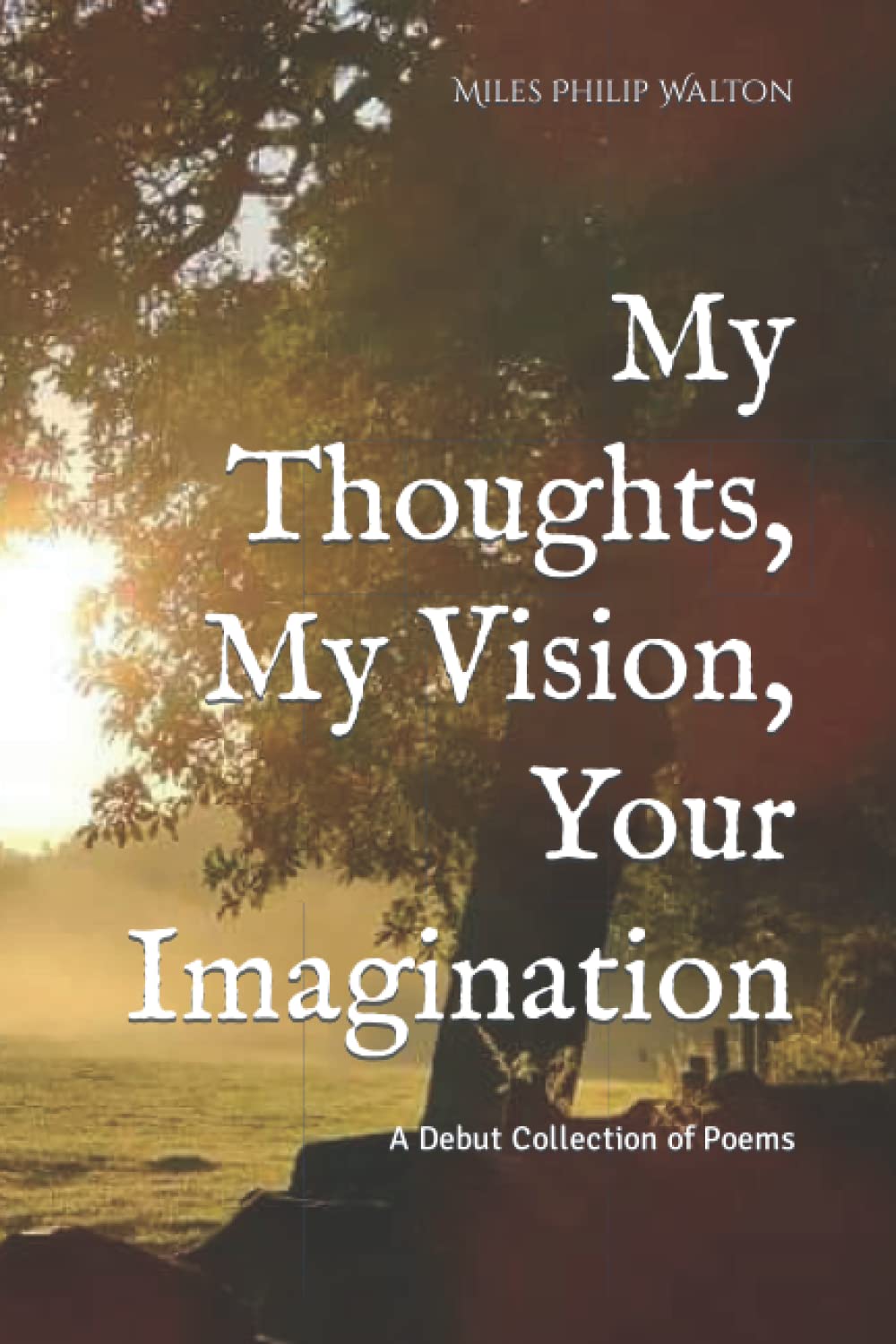 My Thoughts, My Vision, Your Imagination: A Collection of Poems by Miles Philip Walton