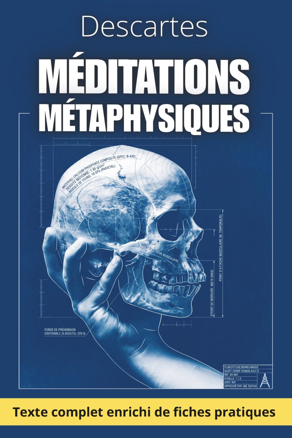 Méditations métaphysiques: 240 fiches-mémo pour appliquer la méthode cartésienne dans la vie moderne