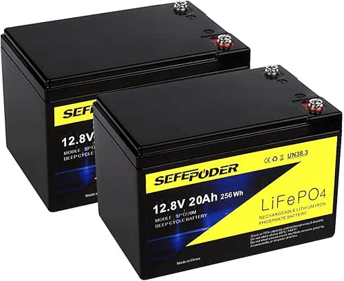 12V 20Ah Lithium LiFePO4 Deep Cycle Battery (2 Pack), 4000