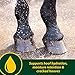 Farnam Horseshoer's Secret EXTRA STRENGTH Hoof Supplements & Connective Tissue Supplement, Promotes strong, healthy hooves, tendons & ligaments, 3.75 lbs., 30 day supply
