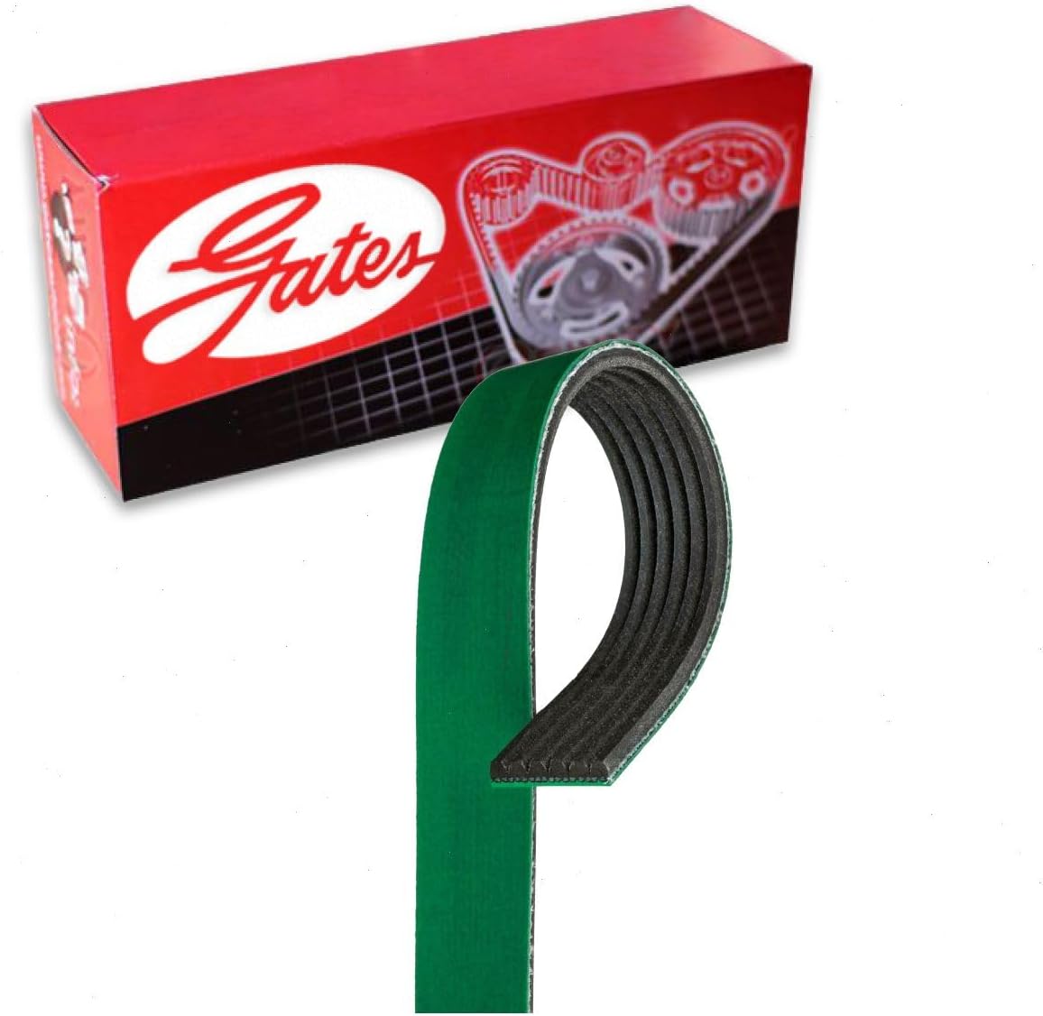 Gates FleetRunner Micro-V Serpentine Belt compatible with Ford F-250 Super Duty 6.2L V8 2011-2019