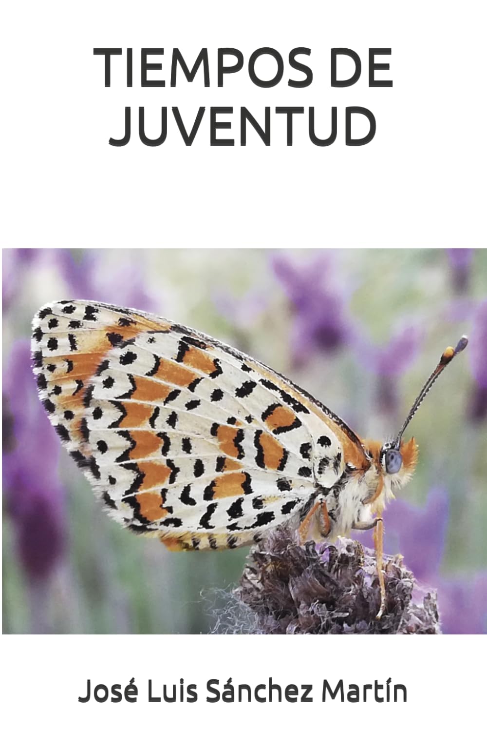 TIEMPOS DE JUVENTUD (Novelas)