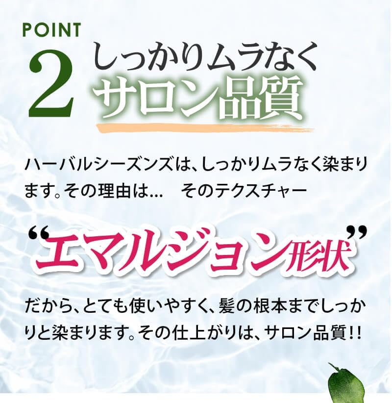 BK 【監修】 80g×1袋 ブラック