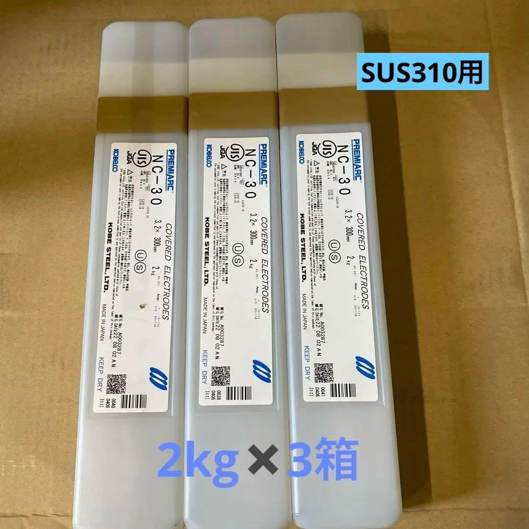 マウンド・ビルディングの考古学 : 先史アンデスにおけるモニュメント