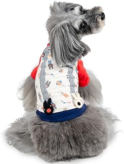 Amazon.co.jp: ペットパラダイス: リサとガスパール