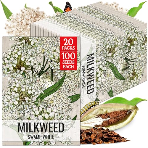 Image of Seed Needs White Swamp Milkweed Seeds for Monarch Butterflies 20 Pack