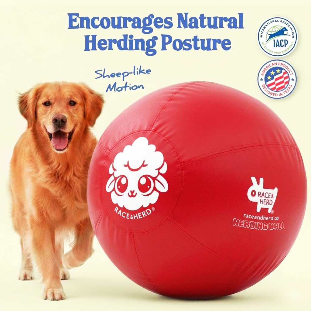 Race&Herd Balle de troupeau originale de 76,2 cm pour chiens — Balles pour jouets pour chiens (cerise) | Balle de troupeau XL pour golden retriever, berger allemand, labradors et boxeur, exercice en plein air instinct