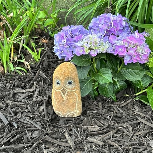 T-Trove Irregular River Rock Stone Owl 6