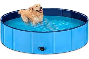 Small Dog Duck Pool: A Haven for Your Pet's Aquatic Adventures