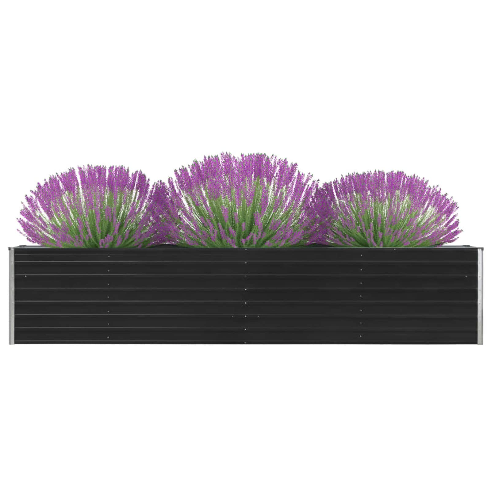 Arriate, Mesa De Cultivo, Huerto Domestico, Cultivo De Plantas Aromaticas, Arriate De Jardín, de jardín de Acero galvanizado Antracita 320x40x45 cm