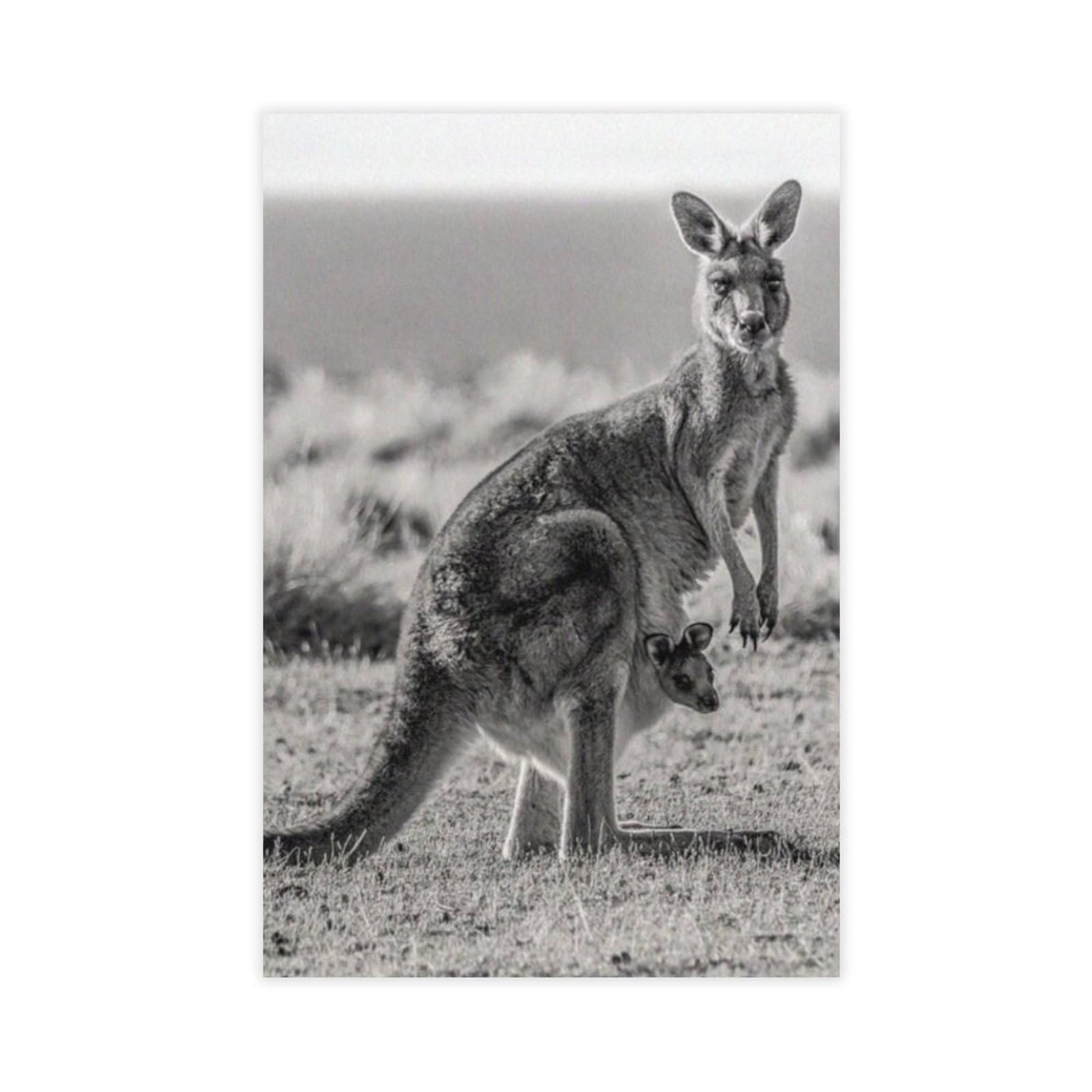 GAPAT Australia Tasmania Kangaroo Black White Wall Art Travel Poster Australia Art Print Animal Canvas Poster Bedroom Office Room Decor Gift Yellow Unframe 16x24inch